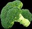 brokuły warzywa medycyna naturalna